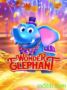 Descubra o Maravilhoso Mundo de WonderElephant
